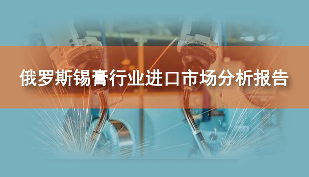 俄罗斯锡膏行业进口市场分析报告（2024）